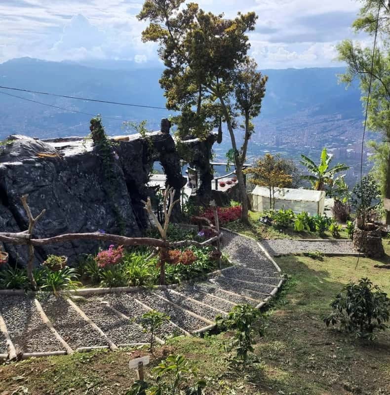 Medellin: Coffee Farm and Barista Workshop Experience Tour