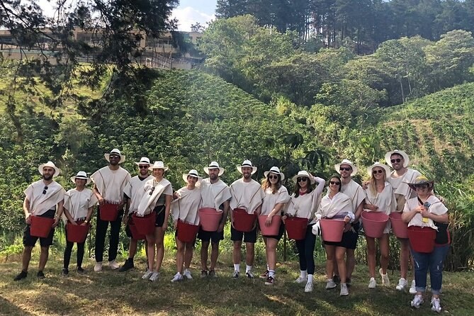 Medellin Coffee Farm Tour with Panoramic Cable Car Views