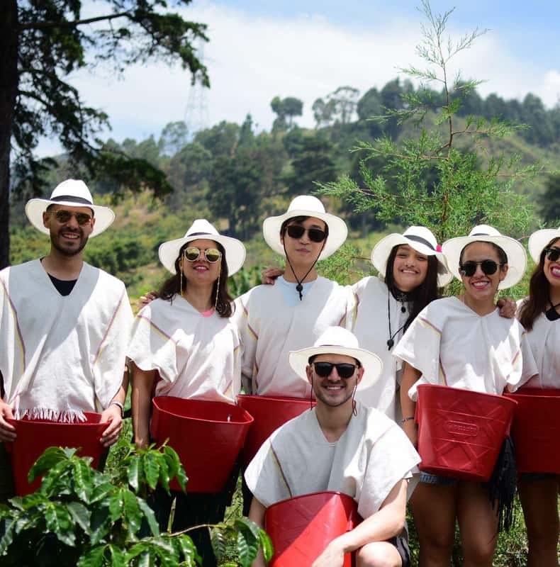 Medellín Coffee Farm Tour with Trolley and Cable Car Ride