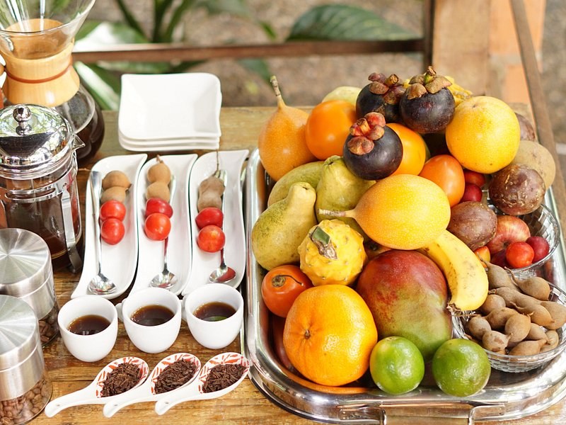 Half-Day vs Full-Day Medellin Coffee Tours