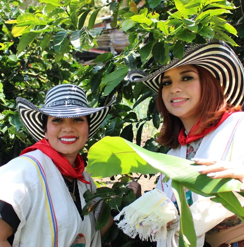 Medellin: Coffee Tour with Hotel Transfers and Meals